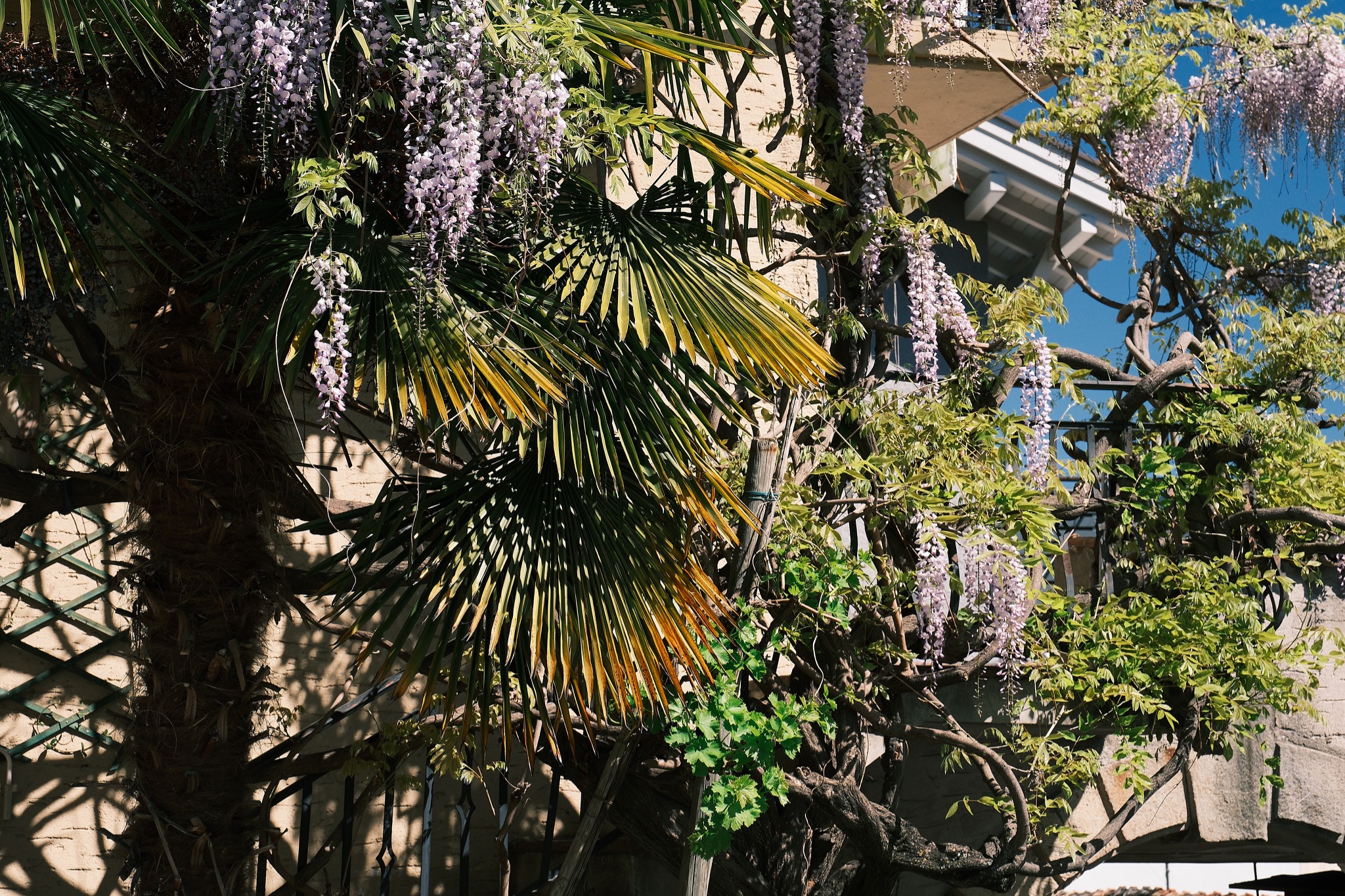04 DSCF1058