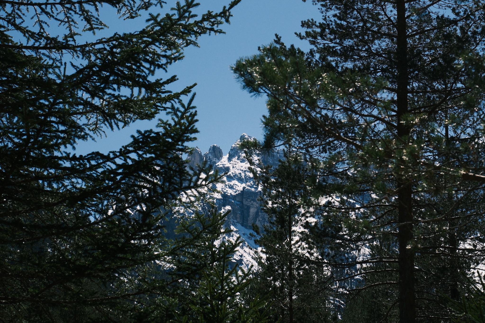 17 DSCF1099